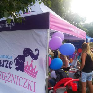 Stoisko Fundacji dla chorych dzieci Rycerze i Księżniczki - podczas wolontariatu nad Warszawskim Balatonem